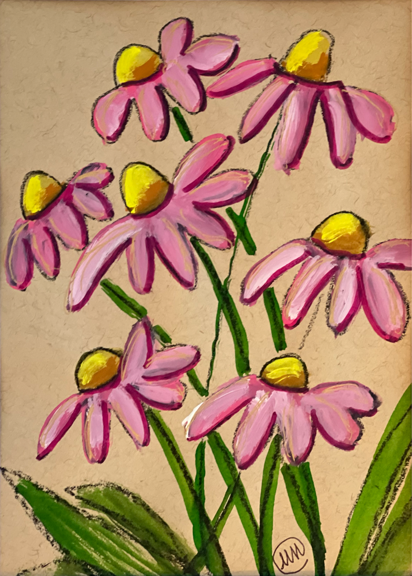 Pink Coneflowers